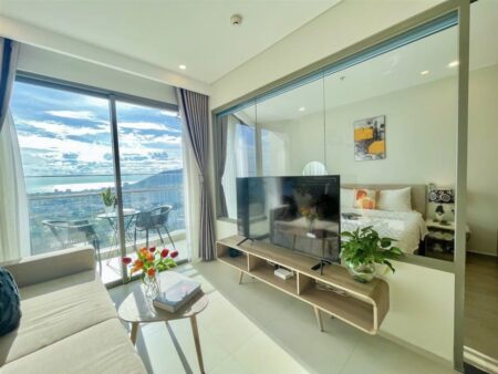 Cho thuê The Sóng loại 2PN 53m2 mã căn 27.30 tầng 27